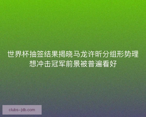 世界杯抽签结果揭晓马龙许昕分组形势理想冲击冠军前景被普遍看好